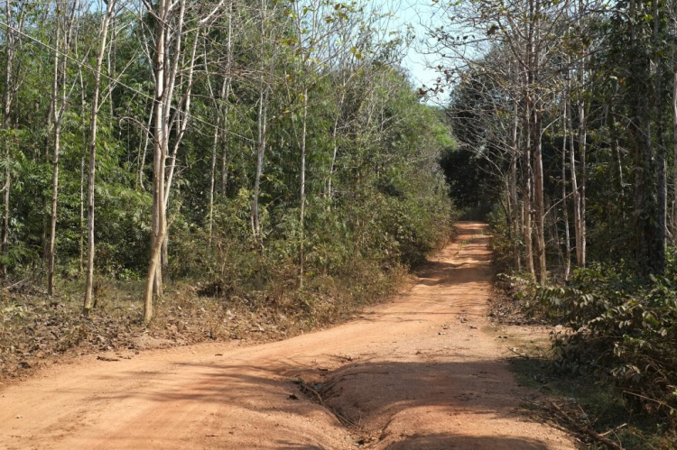 Óp Trung Du Đạo