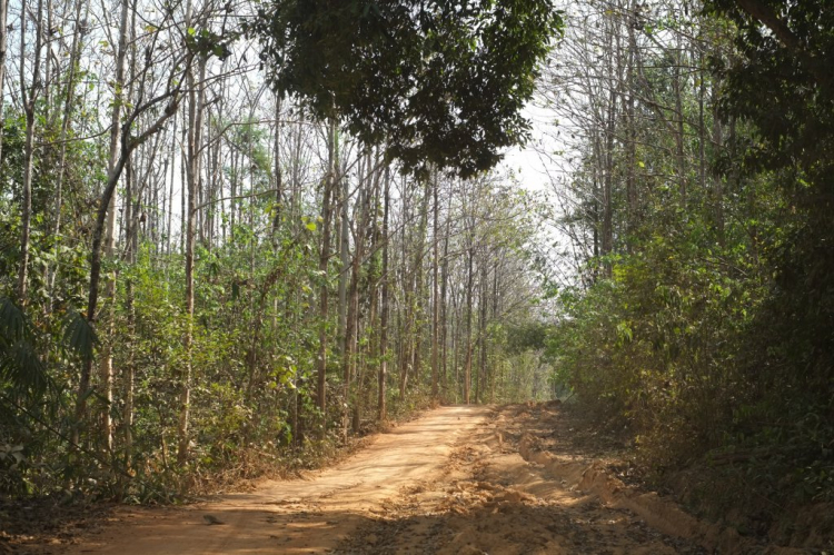 Óp Trung Du Đạo