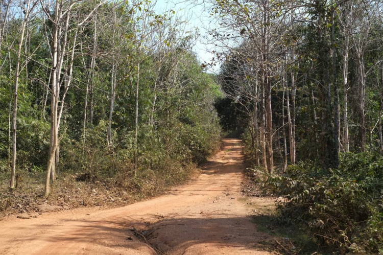 Óp Trung Du Đạo