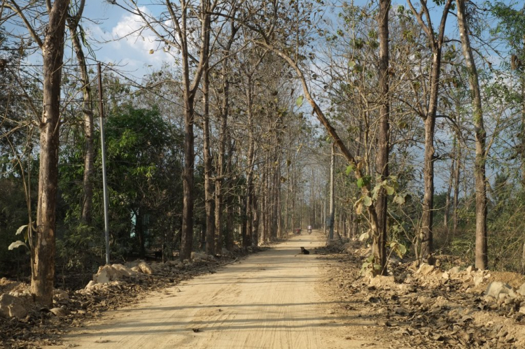 Óp Trung Du Đạo