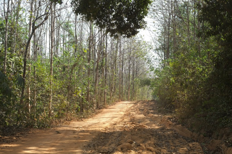 Óp Trung Du Đạo