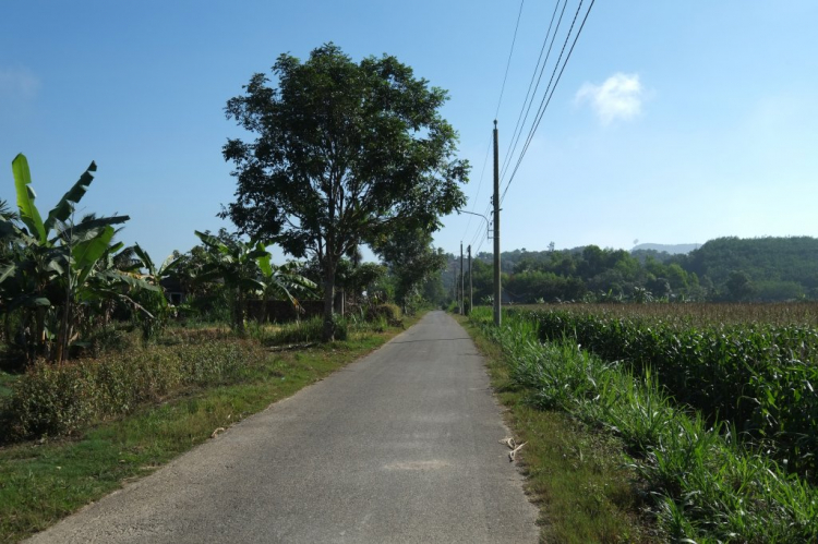 Óp Trung Du Đạo