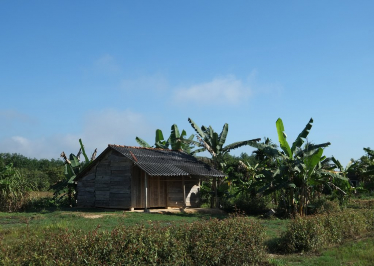 Óp Trung Du Đạo