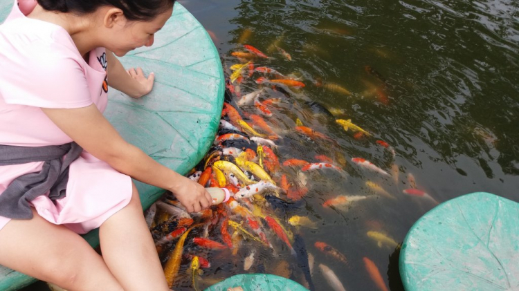 Jolie - Chiếc xe thân thiện Jolie - Chiếc xe thân thiện