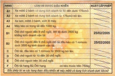 7509486.jpg