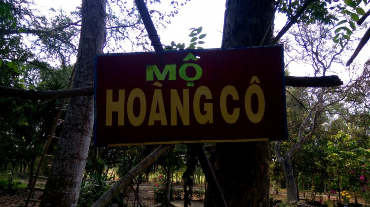 Xin hỏi đường đi Cao Lãnh
