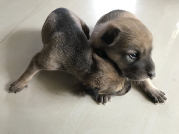 Jolie - Chiếc xe thân thiện Jolie - Chiếc xe thân thiện