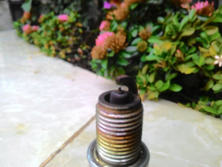 Jolie - Chiếc xe thân thiện Jolie - Chiếc xe thân thiện