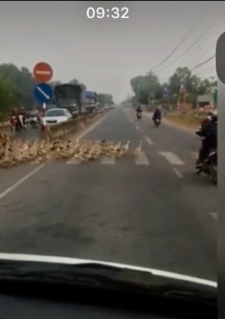 Thánh qua lộ Thánh qua lộ