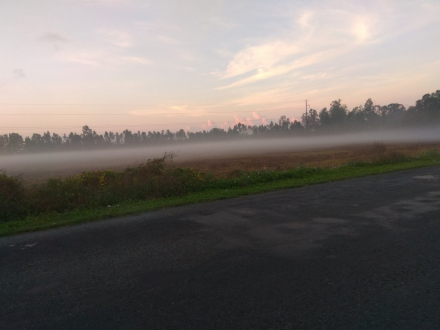 IMG_20180428_055038.jpg