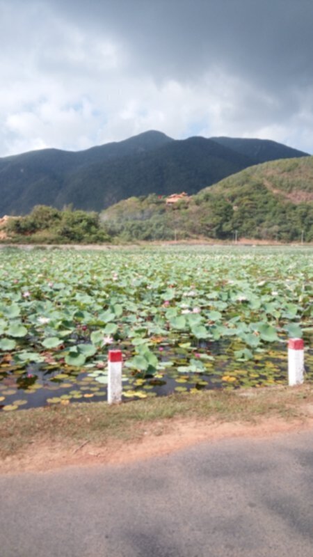 Jolie - Trên những nẻo đường