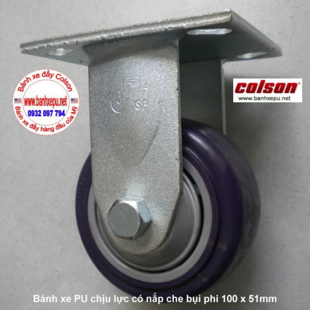 banh-xe-day-cang-co-dinh-phi-100-sp-caster-www.banhxepu.net.JPG