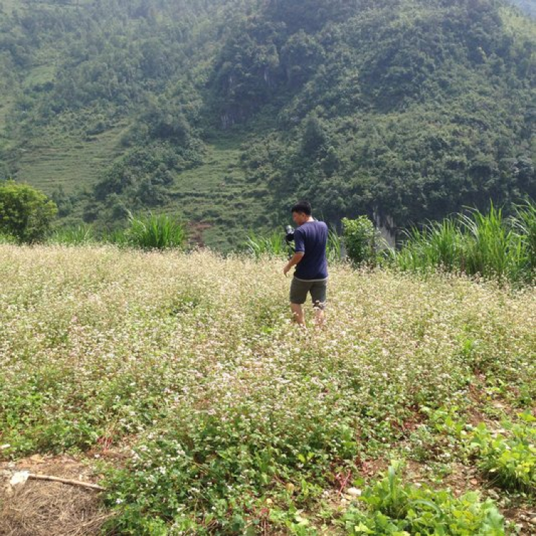 Sao không lập đàn Na mập cho dzui nhỉ? Sao không lập đàn Na mập cho dzui nhỉ?