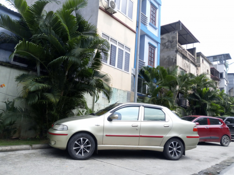 Em khoe con Fiat còi đã phục vụ 10 năm lẻ! Em khoe con Fiat còi đã phục vụ 10 năm lẻ!