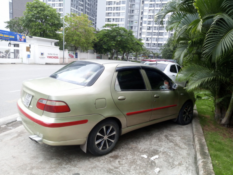 Em khoe con Fiat còi đã phục vụ 10 năm lẻ! Em khoe con Fiat còi đã phục vụ 10 năm lẻ!