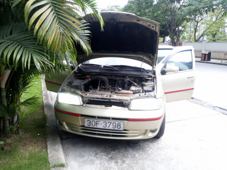 Em khoe con Fiat còi đã phục vụ 10 năm lẻ! Em khoe con Fiat còi đã phục vụ 10 năm lẻ!