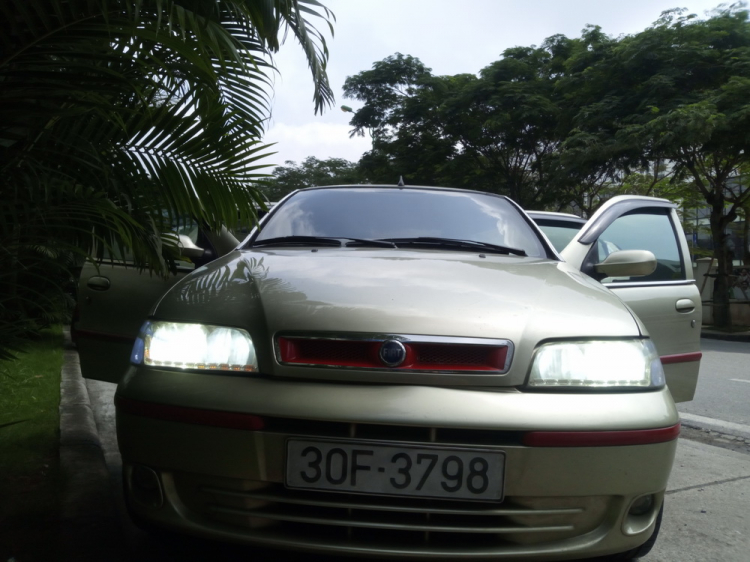 Em khoe con Fiat còi đã phục vụ 10 năm lẻ! Em khoe con Fiat còi đã phục vụ 10 năm lẻ!