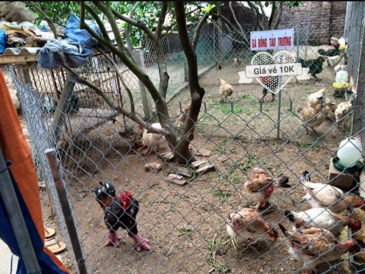 Jolie - Chiếc xe thân thiện Jolie - Chiếc xe thân thiện