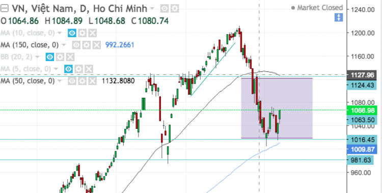 Chứng trường tháng 05.2018 - Trồng cây chờ ngày hái quả