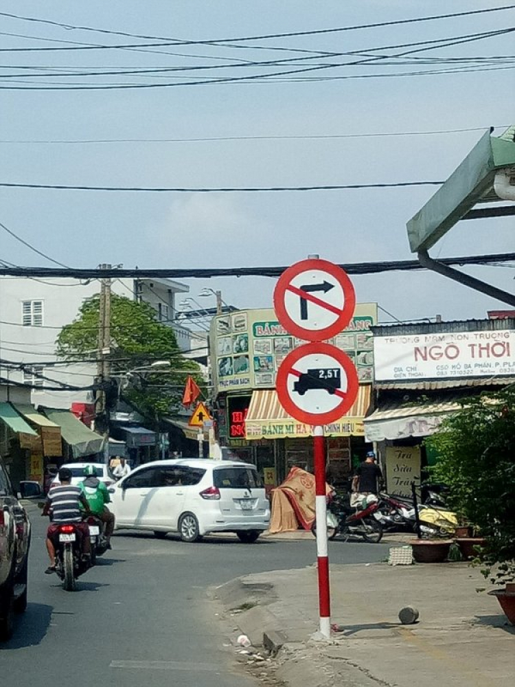 Hỏi ngu