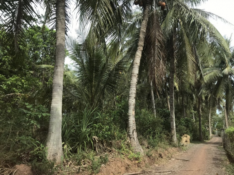 Đúng là đầm Trà Ổ Phù Mỹ có cá chình ngon tuyệt!