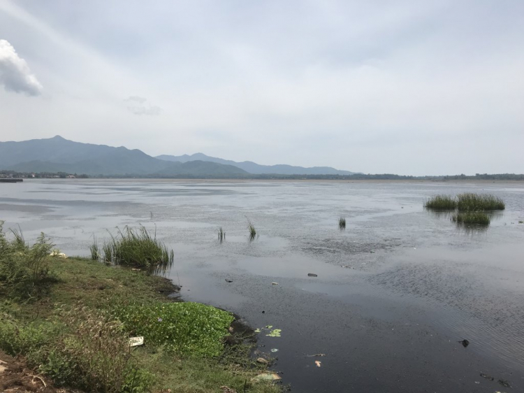 Đúng là đầm Trà Ổ Phù Mỹ có cá chình ngon tuyệt! Đúng là đầm Trà Ổ Phù Mỹ có cá chình ngon tuyệt!