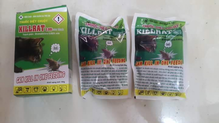 Xua đuổi chuột trên xe??????? Xua đuổi chuột trên xe???????