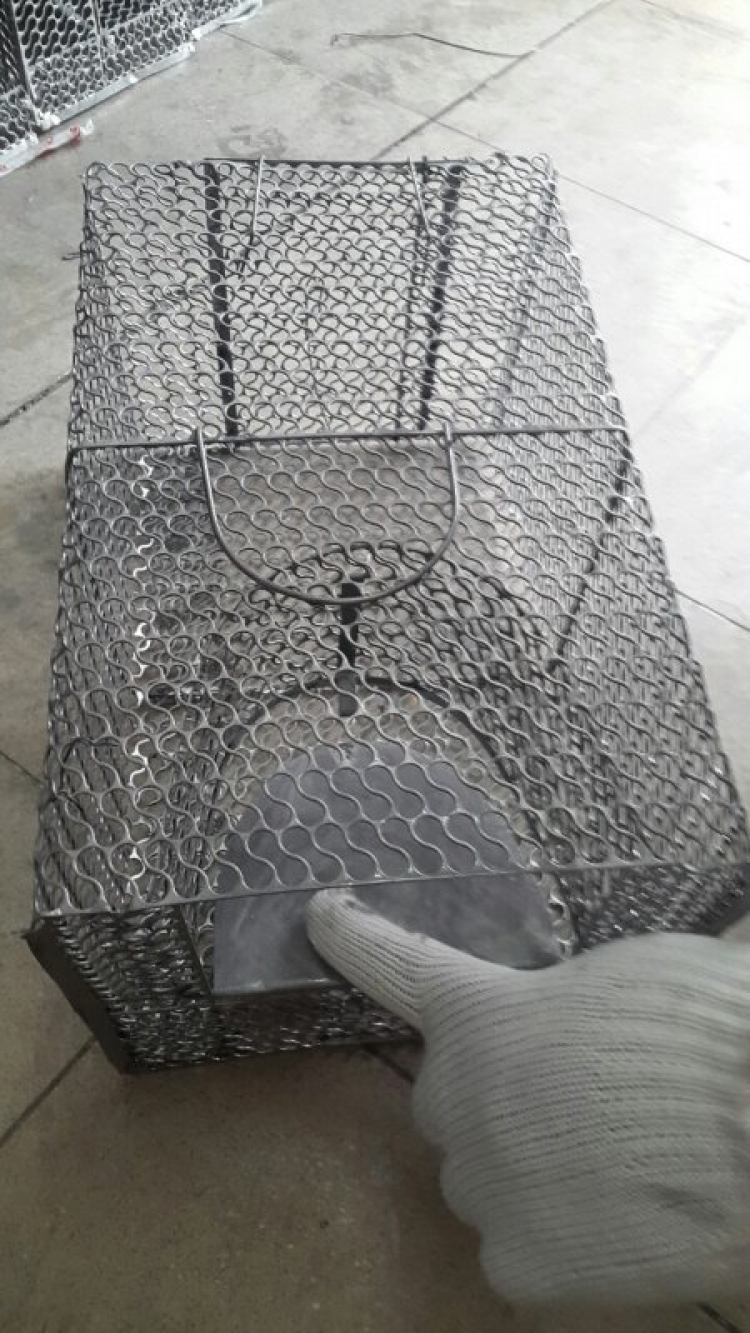 Xua đuổi chuột trên xe??????? Xua đuổi chuột trên xe???????