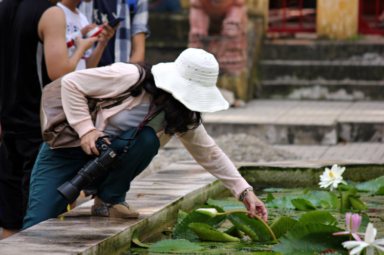 Vườn hoa của ... các bác! Em mời các bác vào đây ... trồng hoa ạ!