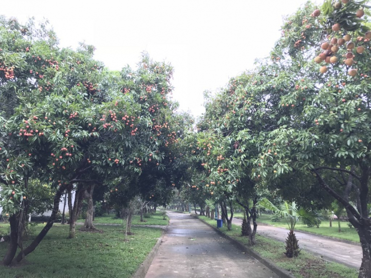 Xuyên Việt hè 2018 - Hạ Long vẫy gọi Xuyên Việt hè 2018 - Hạ Long vẫy gọi