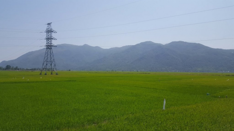 Hội về Bắc ăn Tết 01/02/2019-10/02/2019 Hội về Bắc ăn Tết 01/02/2019-10/02/2019