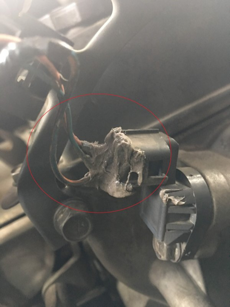 Bác nào Zinger thì vào đây - Giao lưu, trao đổi Bác nào Zinger thì vào đây - Giao lưu, trao đổi