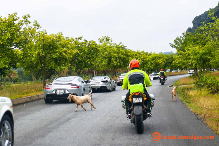 Ngắm vẻ đẹp của "Tuyệt tình cốc" ở Ninh Bình nơi đoàn ''Hành trình từ trái tim'' đã ghé thăm