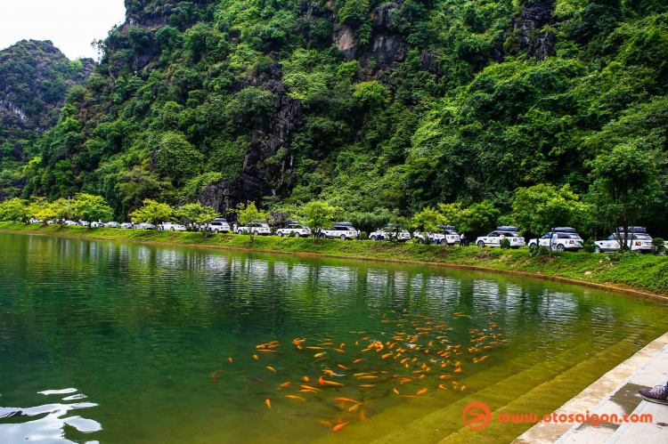 Ngắm vẻ đẹp của "Tuyệt tình cốc" ở Ninh Bình nơi đoàn ''Hành trình từ trái tim'' đã ghé thăm