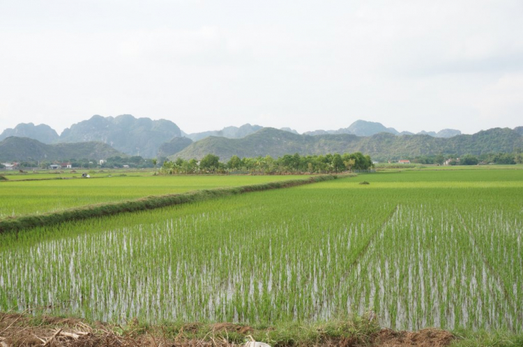 HÀNH TRÌNH XUYÊN VIỆT 2018 SÀI GÒN NINH BÌNH HÀNH TRÌNH XUYÊN VIỆT 2018 SÀI GÒN NINH BÌNH