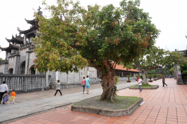 HÀNH TRÌNH XUYÊN VIỆT 2018 SÀI GÒN NINH BÌNH HÀNH TRÌNH XUYÊN VIỆT 2018 SÀI GÒN NINH BÌNH