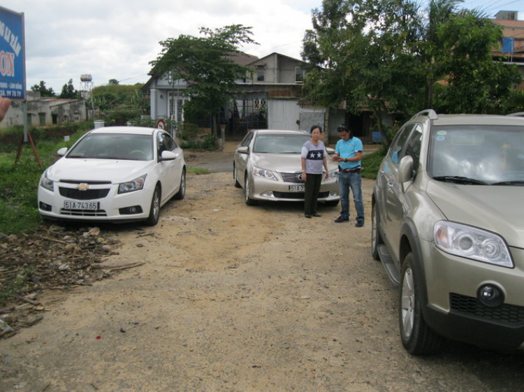 Off nhỏ săn hoa Dã Quỳ