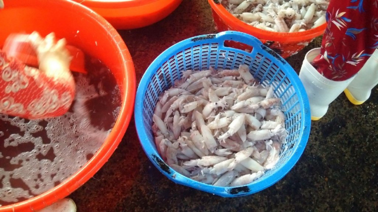 Jolie - Trên những nẻo đường Jolie - Trên những nẻo đường