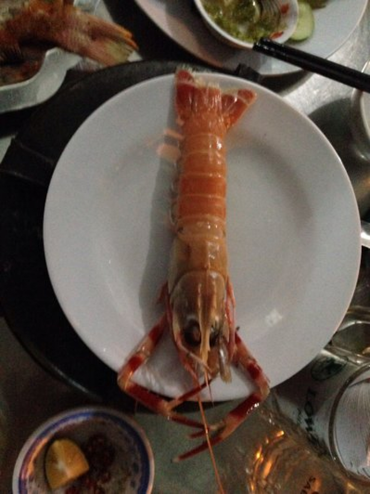 Phượt đi Côn Đảo có khó không? Như thế nào? Phượt đi Côn Đảo có khó không? Như thế nào?