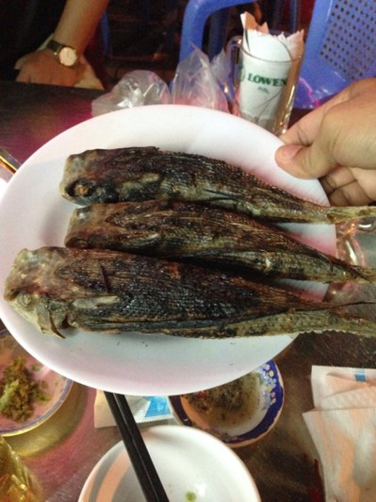 Phượt đi Côn Đảo có khó không? Như thế nào? Phượt đi Côn Đảo có khó không? Như thế nào?