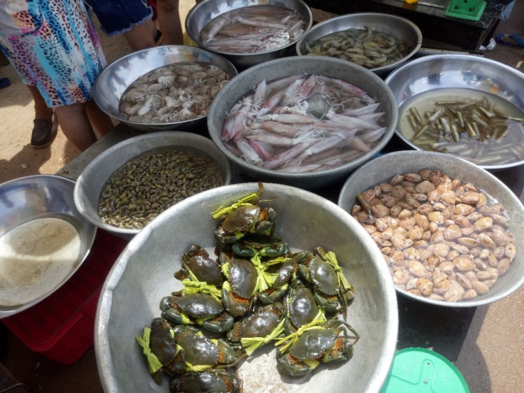Vũng Tàu trong ngày. Vũng Tàu trong ngày.