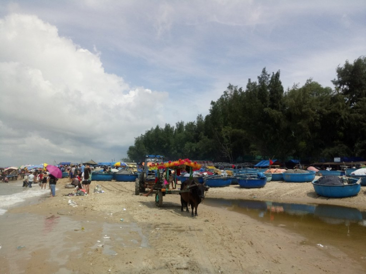 Vũng Tàu trong ngày.