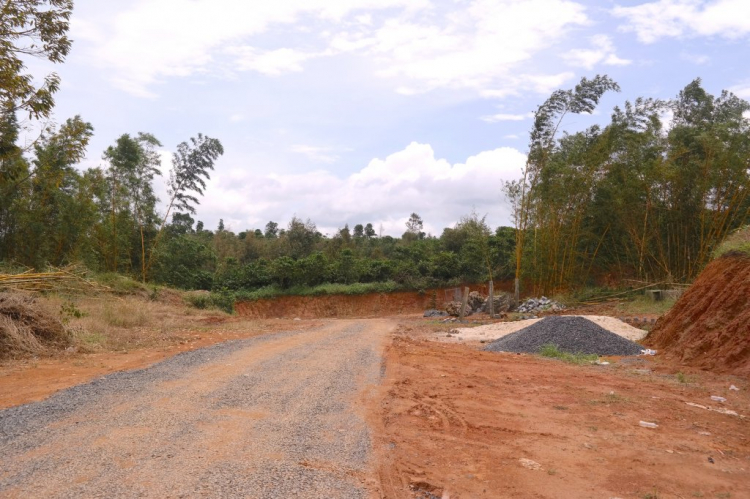 Tổng hợp về Linh Qui Pháp Ấn.