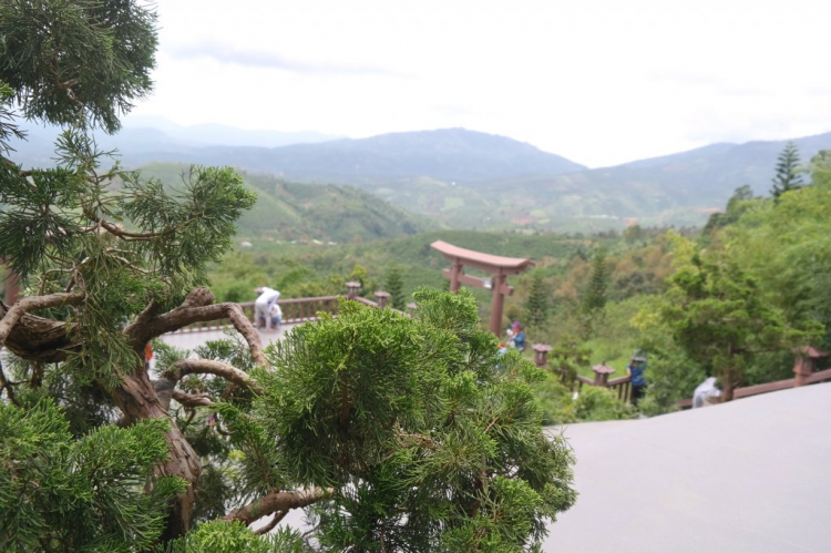 Tổng hợp về Linh Qui Pháp Ấn.