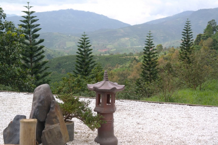 Tổng hợp về Linh Qui Pháp Ấn.