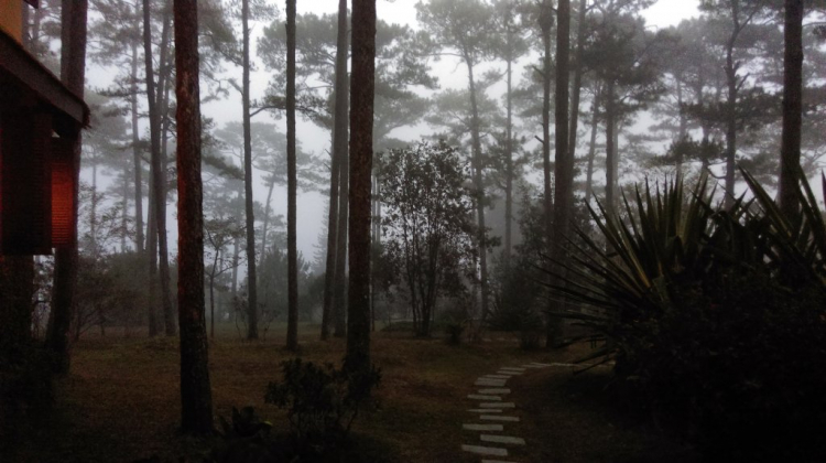 Tổng hợp các thớt về DALAT từ A đến Z Tổng hợp các thớt về DALAT từ A đến Z