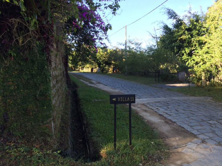 Tổng hợp các thớt về DALAT từ A đến Z Tổng hợp các thớt về DALAT từ A đến Z