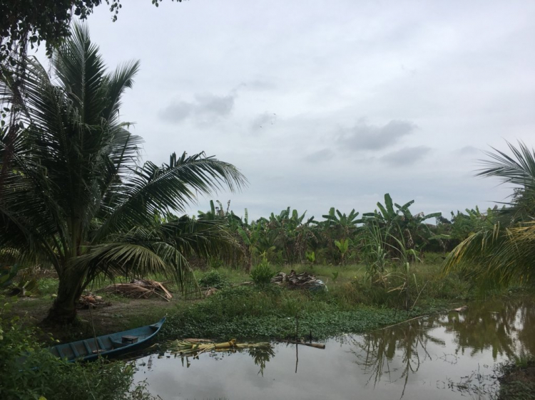 Trồng cây, nuôi cá nghỉ ngơi