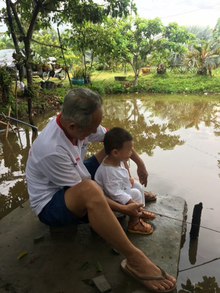 Trồng cây, nuôi cá nghỉ ngơi