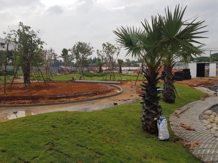 Cập nhật tình hình đất giá quận 9